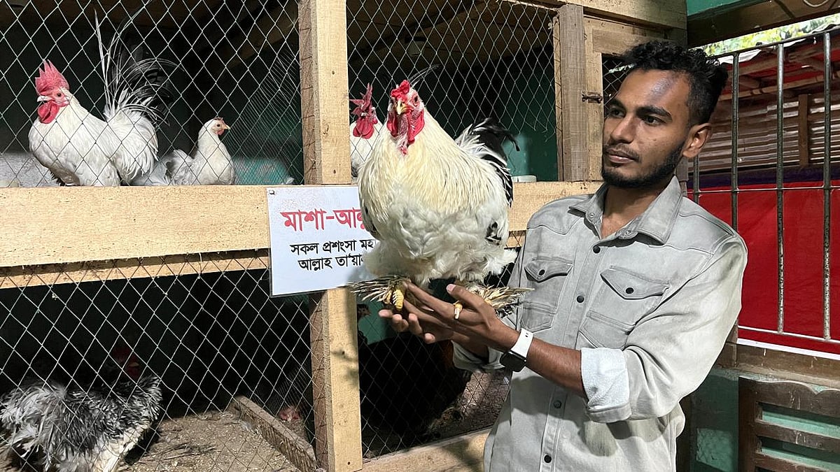 মায়ের কাছ থেকে পাওয়া হাতখরচ দিয়ে শুরু, স্নাতকের শিক্ষার্থী হামিম এখন সফল খামারি