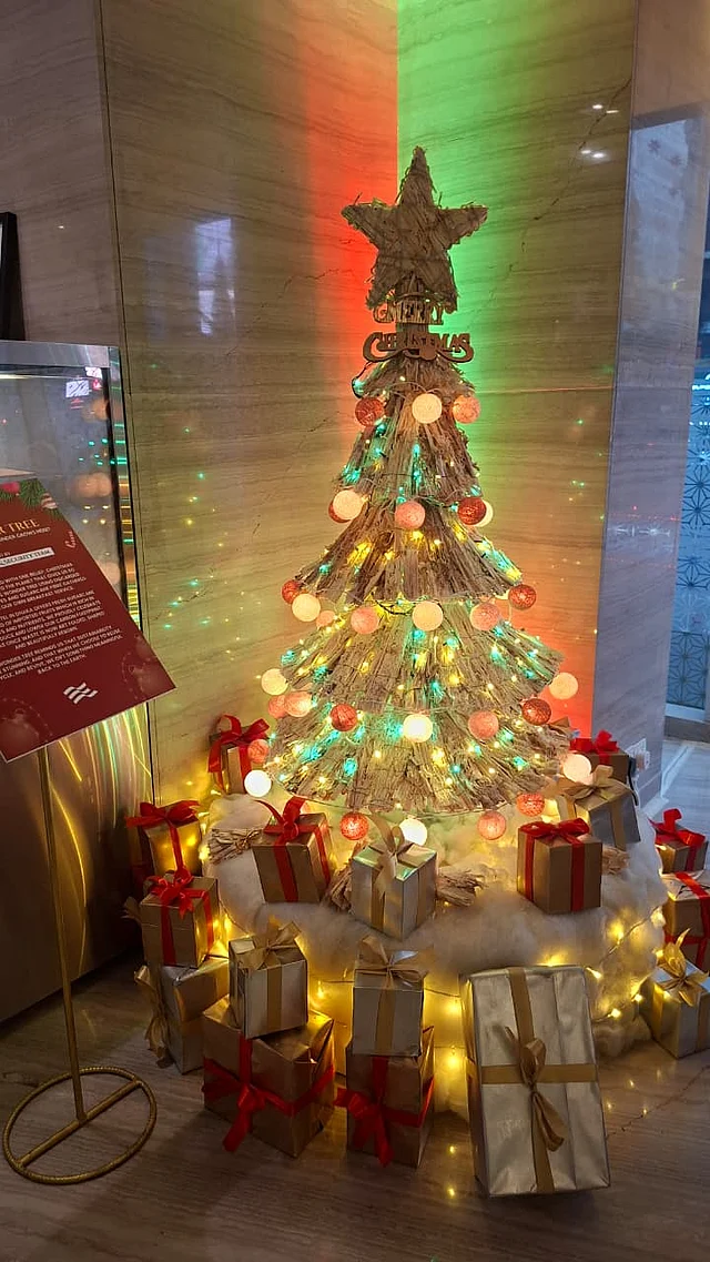 ওয়ান্ডার ট্রি হয়েছে তৃতীয়