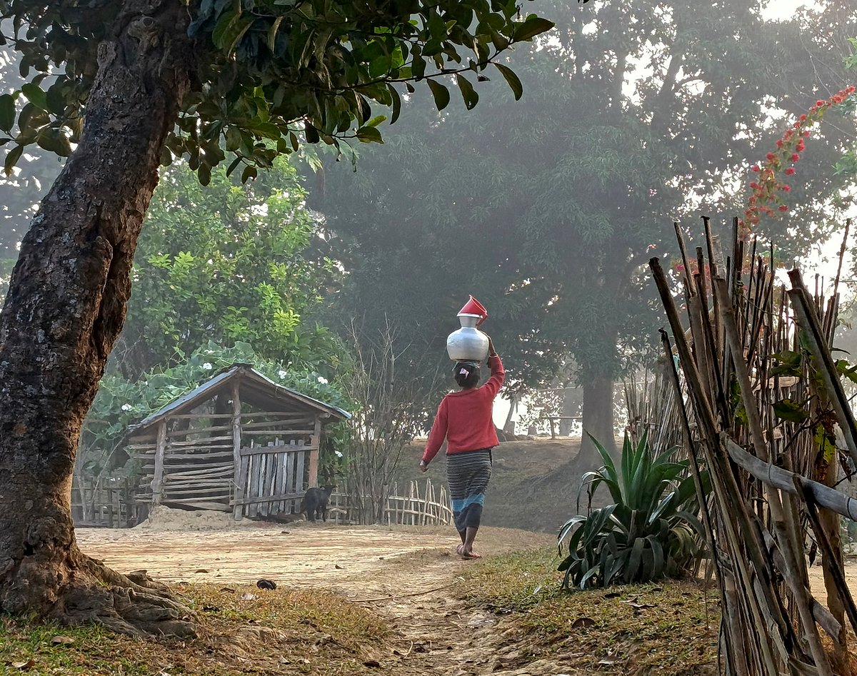 কুয়াশাভেজা ভোরে দূরের কুয়া থেকে কলসি ভরে  পানি আনতে হয়