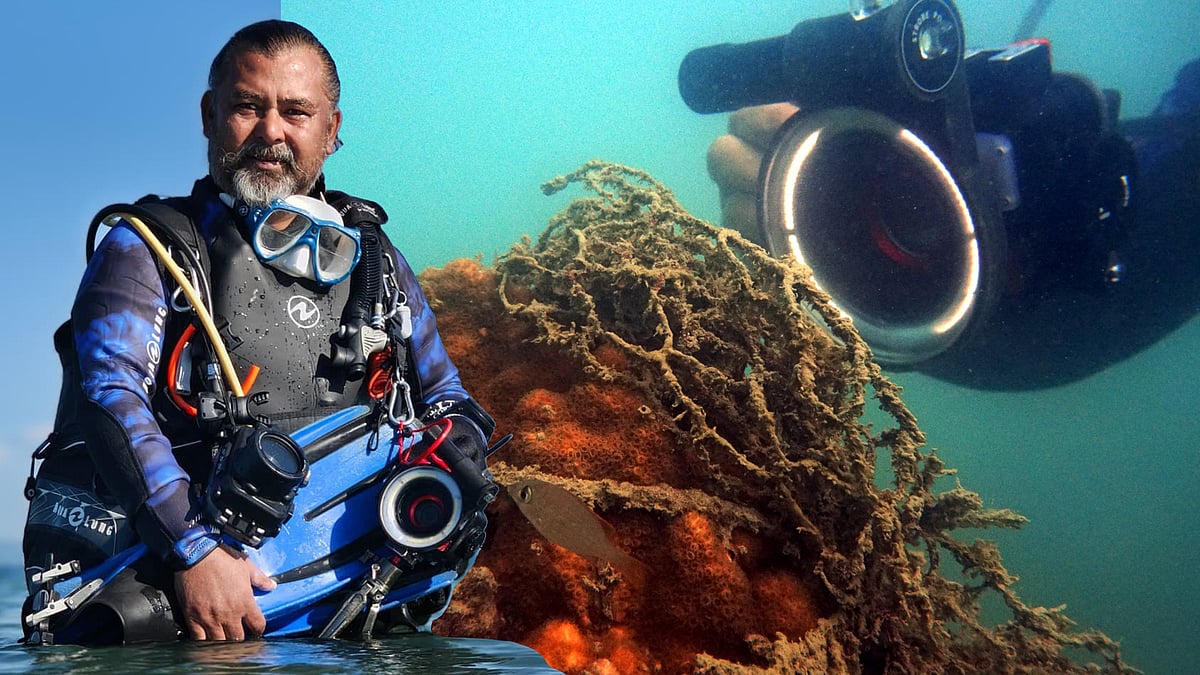 সেন্ট মার্টিনে ৫৭ দিন থেকে এলেন এই আন্ডারওয়াটার ফটোগ্রাফার, কেমন দেখলেন সাগরতলের জীববৈচিত্র্য