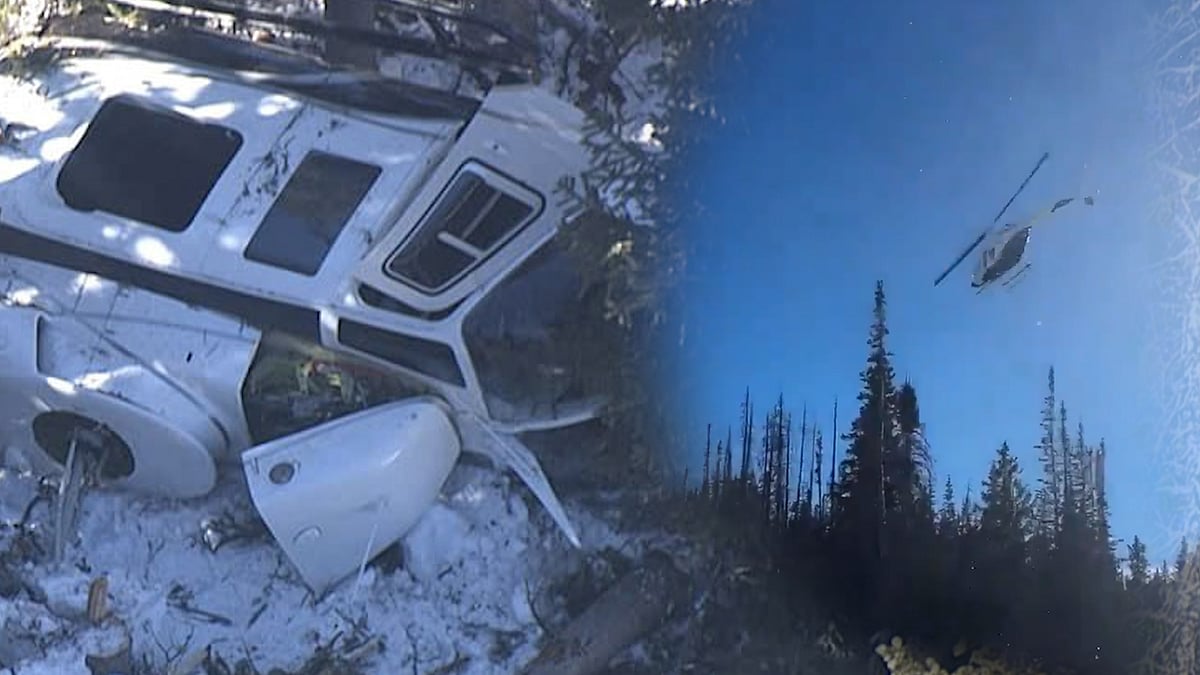 চরকির মতো ঘুরতে ঘুরতে বনে পড়ে গেল হেলিকপ্টার