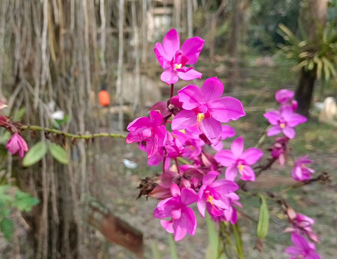 ছবি: মোস্তাফিজুর রহমান