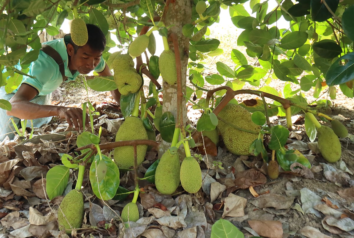 একঝলক (২২ জানুয়ারি ২০২৬)