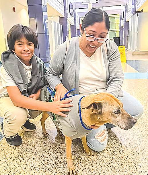 ১০ বছর পর বাড়ি ফিরল কুকুর