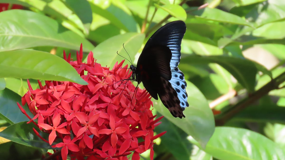 ছবি: সাদিক মৃধা