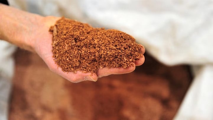 রয়টার্স