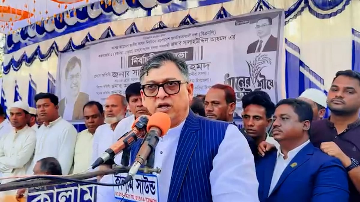 আওয়ামী লীগ হলো মেড ইন ইন্ডিয়া: সালাহউদ্দিন আহমদ