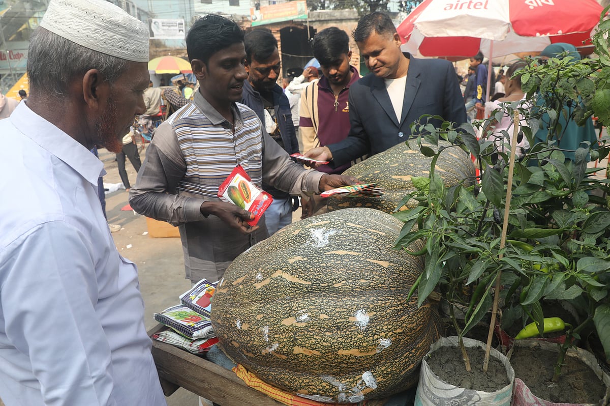 একঝলক (২৫ জানুয়ারি ২০২৬)