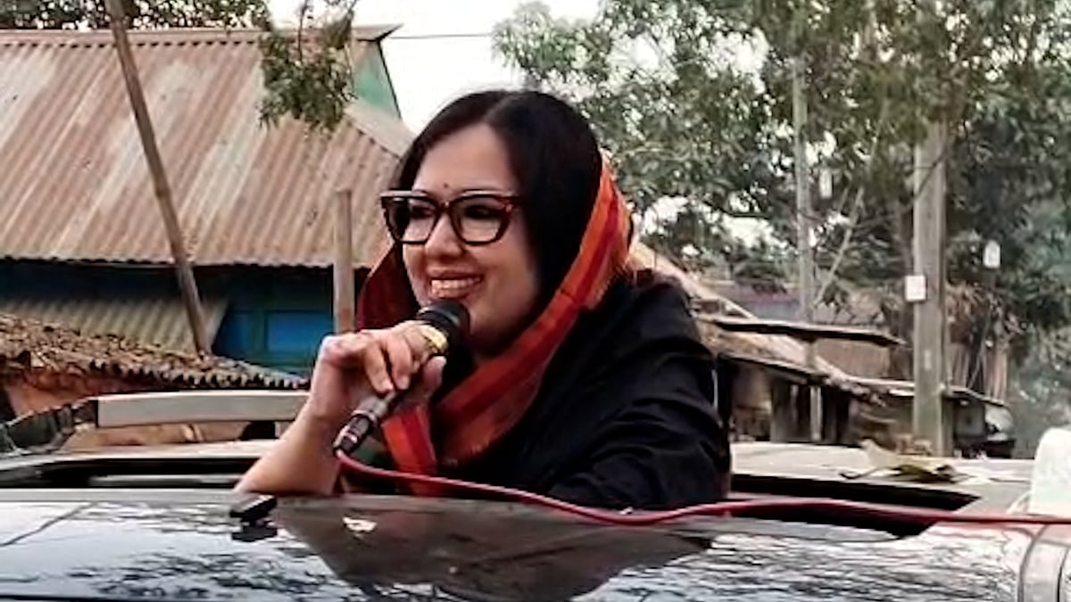 গুনে গুনে হাঁস আপনারা খোঁয়াড়ে তুলবেন : রুমিন ফারহানা