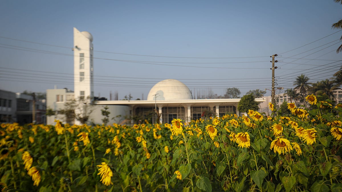 মসজিদের পাশের এই বাগানের সারি সারি গাছে ফোটা সূর্যমুখী ফুল পুব আকাশে তাকিয়ে আছে