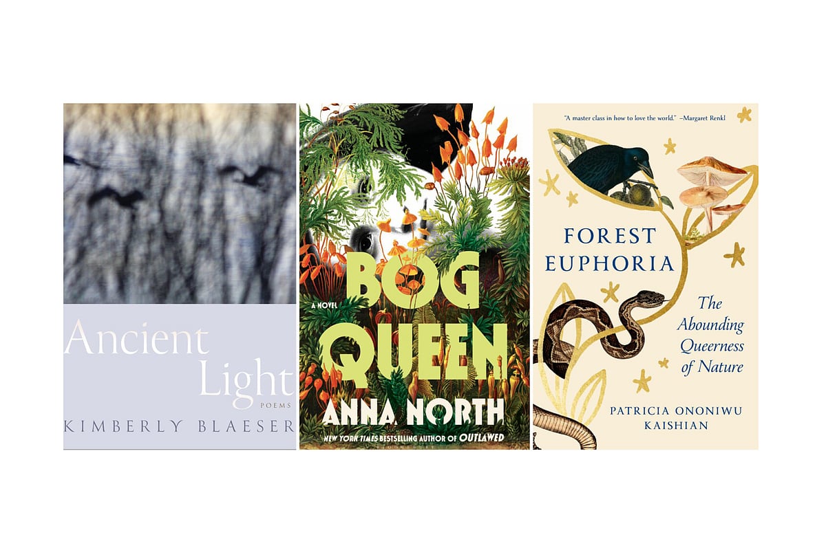 বিজ্ঞান ও সাহিত্যের সেতুবন্ধন: পুরস্কৃত তিন বই