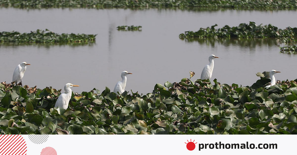 একঝলক (২৭ জানুয়ারি ২০২৬) একঝলক (২৭ জানুয়ারি ২০২৬)