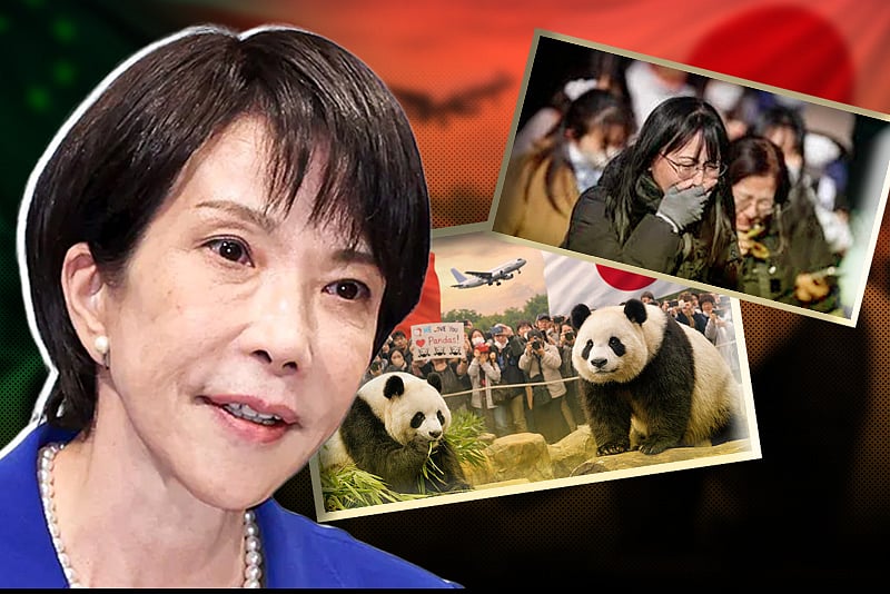 ৫৩ বছর পর কেন পান্ডা কেড়ে নিচ্ছে চীন?