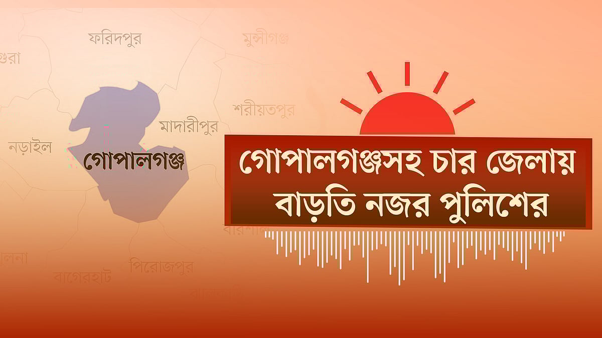 মার্কিন রাষ্ট্রদূতের সঙ্গে সিইসির বৈঠক | ভারত কোনো বার্তা দিচ্ছে কি না, তা স্পষ্ট নয়: পররাষ্ট্র উপদেষ্টা