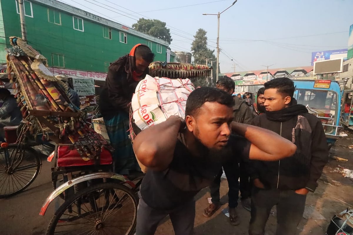 বাজারে আনা বরই পিঠে চাপিয়ে নামিয়ে আনছেন একজন 