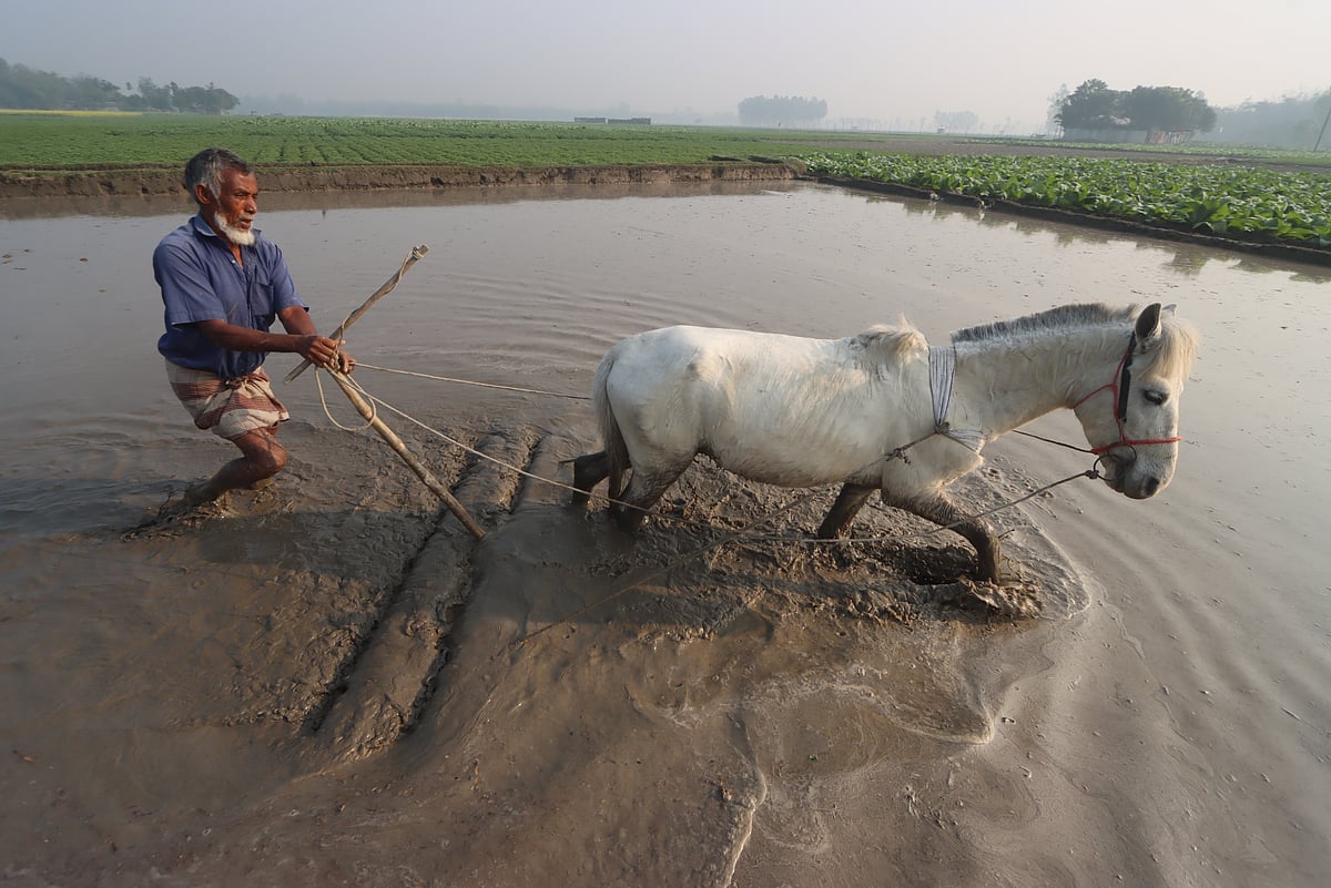 একঝলক (২৮ জানুয়ারি ২০২৬)