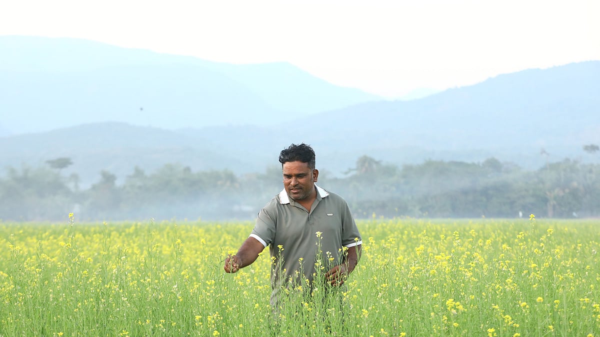 নিজের শর্ষেখেতে মনিরুজ্জামান