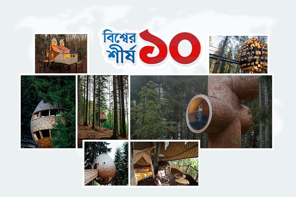 বিশ্বে নজরকাড়া ১০ ট্রি হাউস, কারা কোথায় বানিয়েছেন