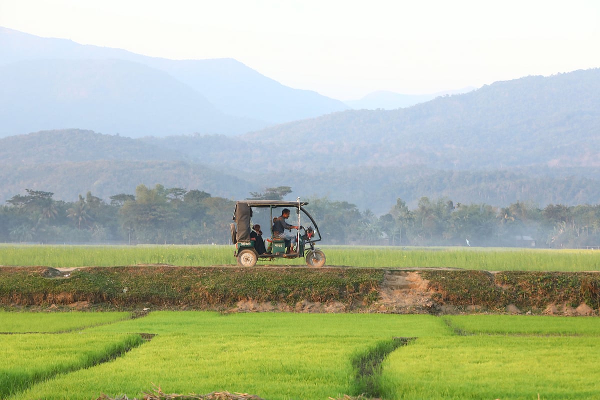 এক ফসলি জমিতে সবুজ বিপ্লব
