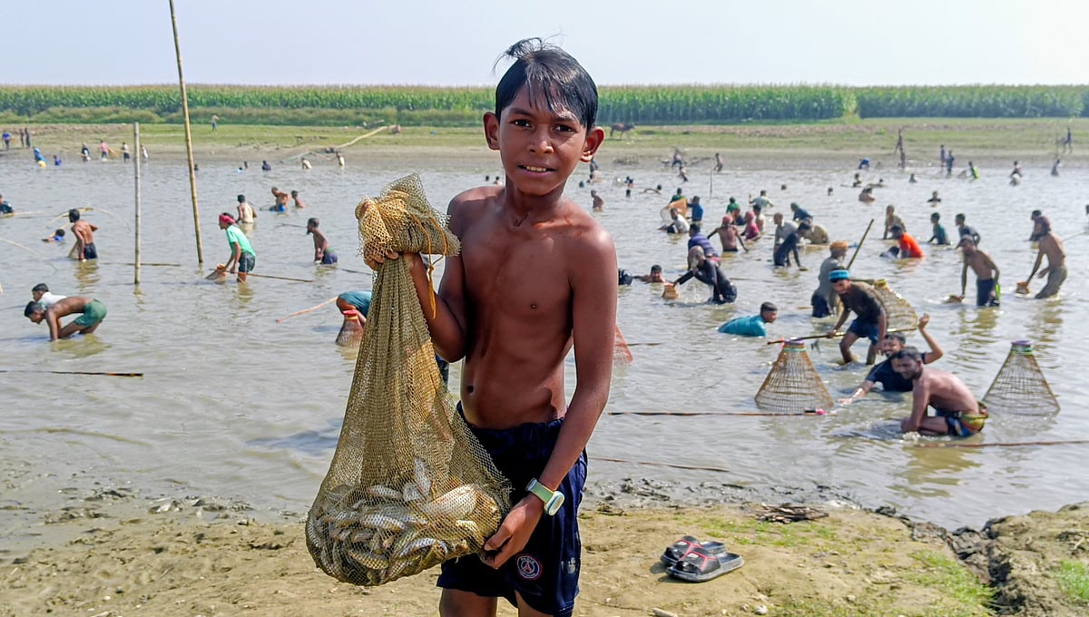 হাওরে হরেক মাছ