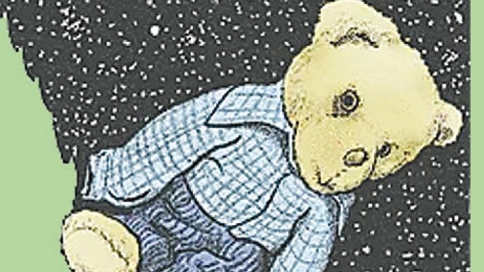 একটি টেডি বিয়ার যেভাবে মহাকাশে হারিয়ে গেল