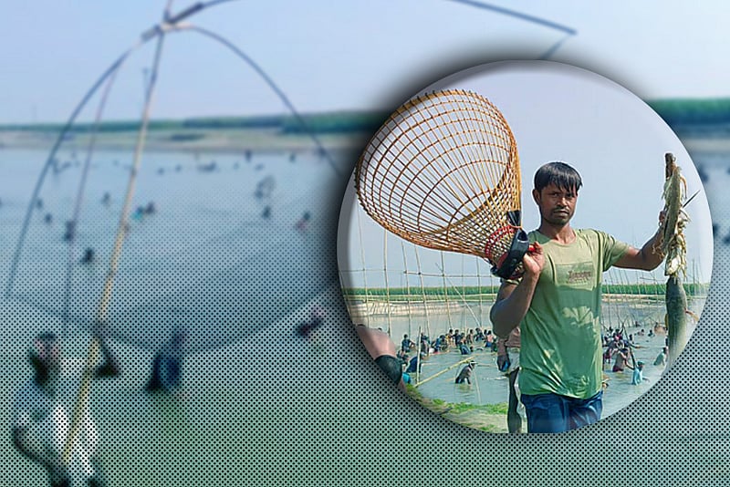 কিশোরগঞ্জের হাওরে হয়ে গেল ঐতিহ্যবাহী পলো বাওয়া উৎসব