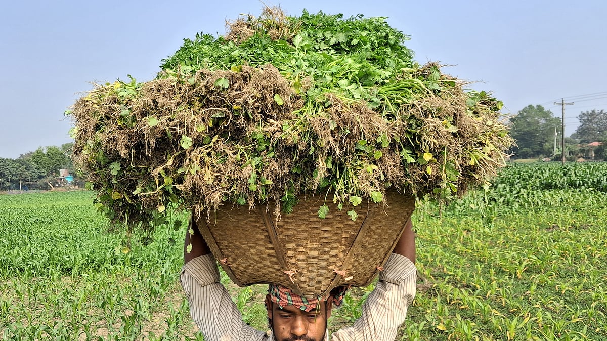 ছবি: আবদুর রহমান ঢালী