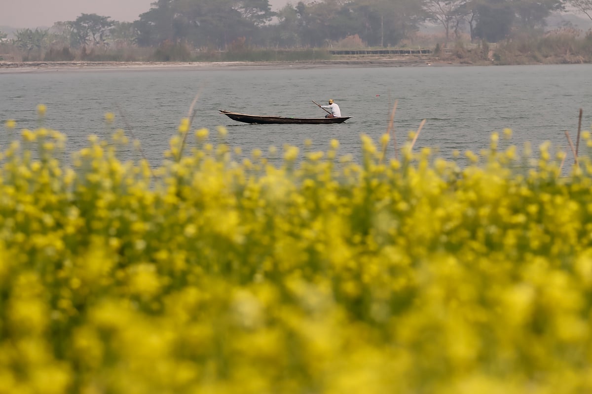 একঝলক (৩১ জানুয়ারি ২০২৬)