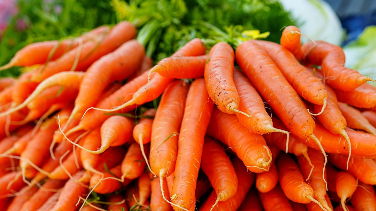 গাজর খোসা ছাড়িয়ে খাওয়া ভালো নাকি মন্দ? বিশেষজ্ঞরা কী বলেন