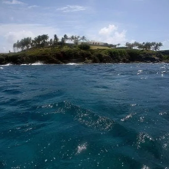 ক্যারিবীয় গাছপালায় ঘেরা এই দ্বীপ