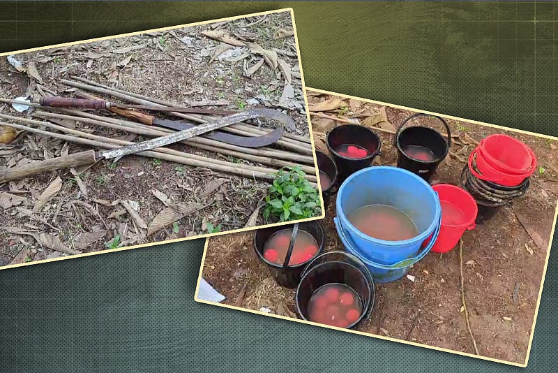 শরীয়তপুরে ৯৫টি ককটেল উদ্ধার, আটক ৩