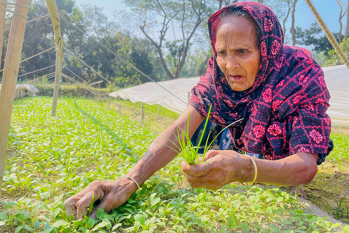 ছবি: আবদুর রহমান 