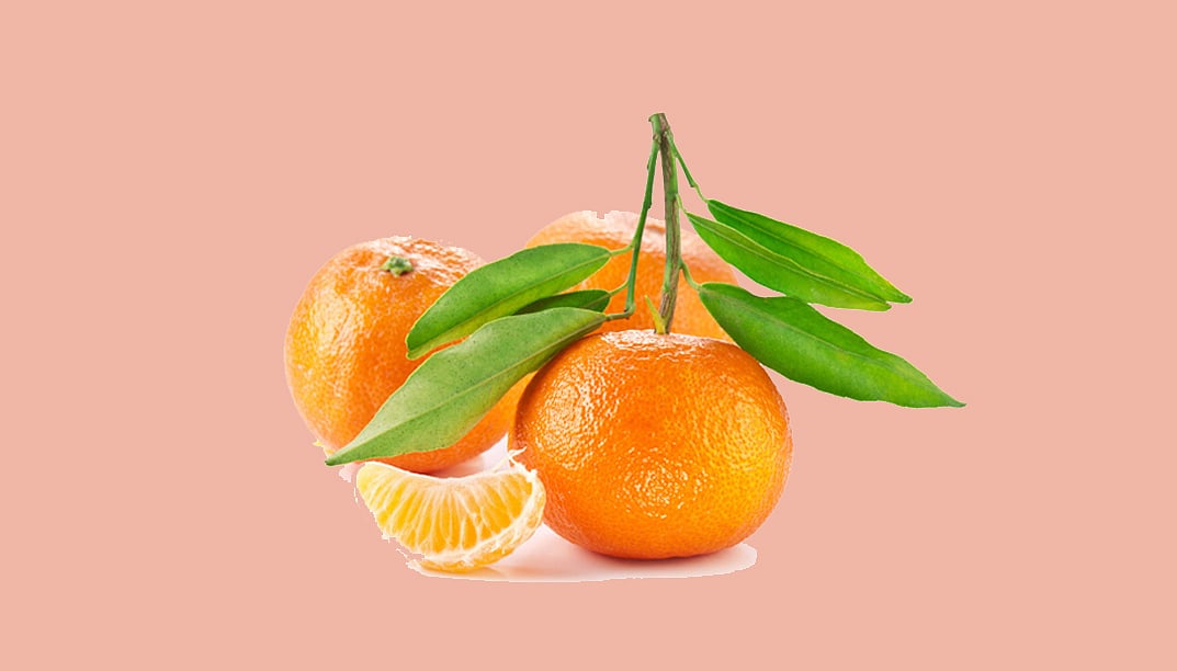 এসএসসি ২০২৬। বিজ্ঞান: বহুনির্বাচনি প্রশ্ন (অধ্যায়–১)—রক্তশূন্যতা রোগ হয় হিমোগ্লোবিনের অভাবে