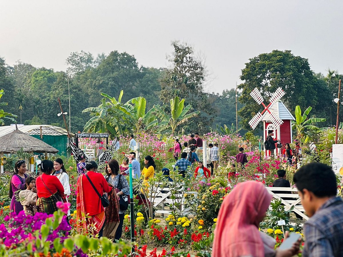 পরিত্যক্ত ইটভাটা যেভাবে হয়ে উঠল ফুলের বাগান