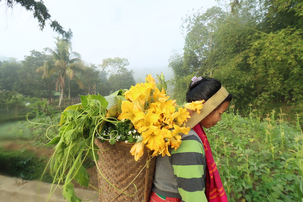 পাহাড়ি গ্রামে কৃষিকাজের ব্যস্ততা