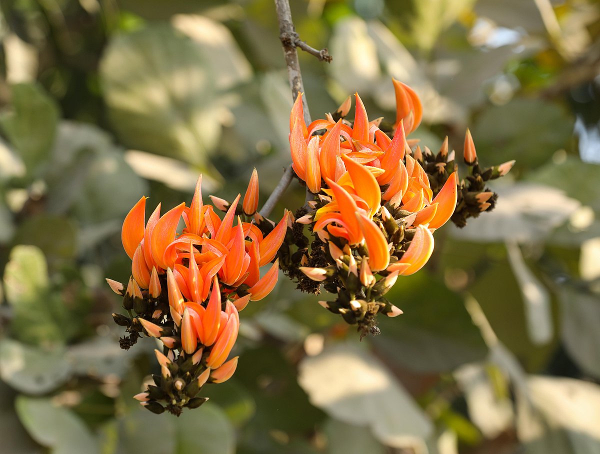 একঝলক (৫ ফেব্রুয়ারি ২০২৬)