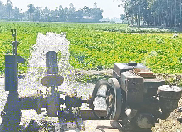 ‘খালি ভোট চায়, আলু নিয়্যা কথা কয় না’