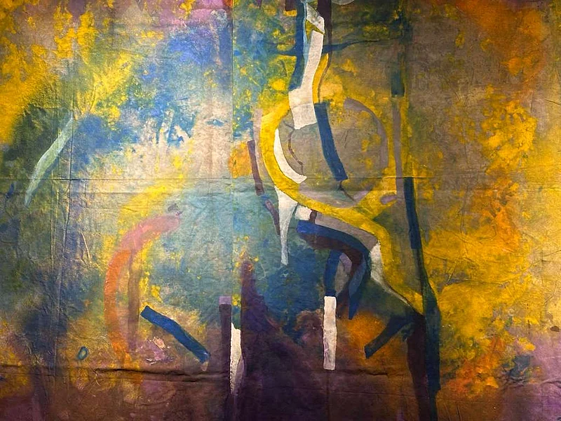 শামীম সুব্রানার শিল্পকর্ম