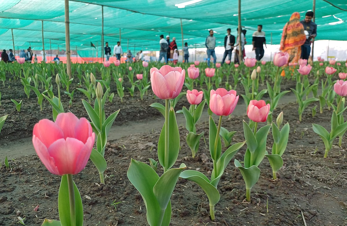 একঝলক (৭ ফেব্রুয়ারি ২০২৬)