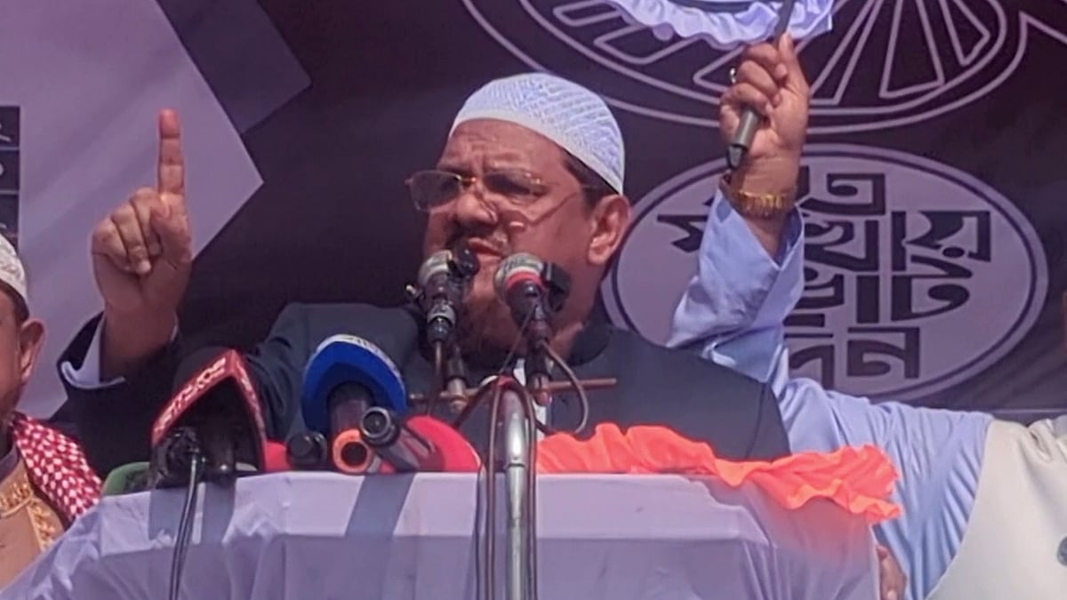 দাঁড়িপাল্লার এক পাল্লায় গোপনে আমেরিকা, আরেক পাল্লায় ভারত: রেজাউল করীম