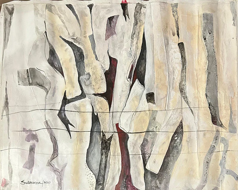 শামীম সুব্রানার শিল্পকর্ম