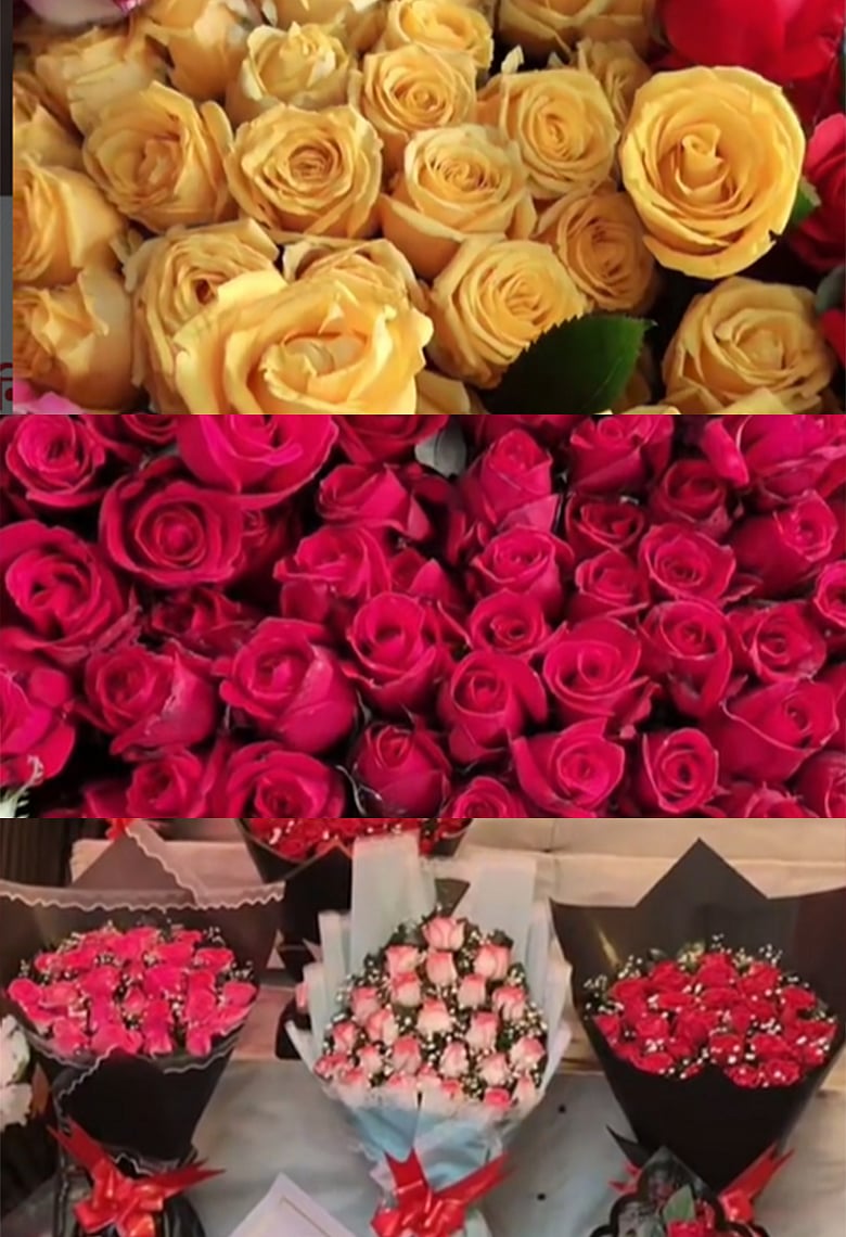 প্রিয় মানুষটিকে ভুল রঙের গোলাপ দিচ্ছেন না তো? (ভিডিও)