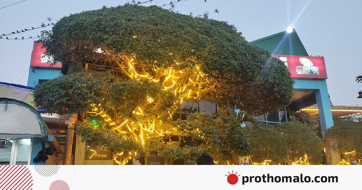 মহাসড়কের পাশে চড়ুই দলের কিচিরমিচির, মুগ্ধ যাত্রী-দর্শনার্থীরা মহাসড়কের পাশে চড়ুই দলের কিচিরমিচির, মুগ্ধ যাত্রী-দর্শনার্থীরা