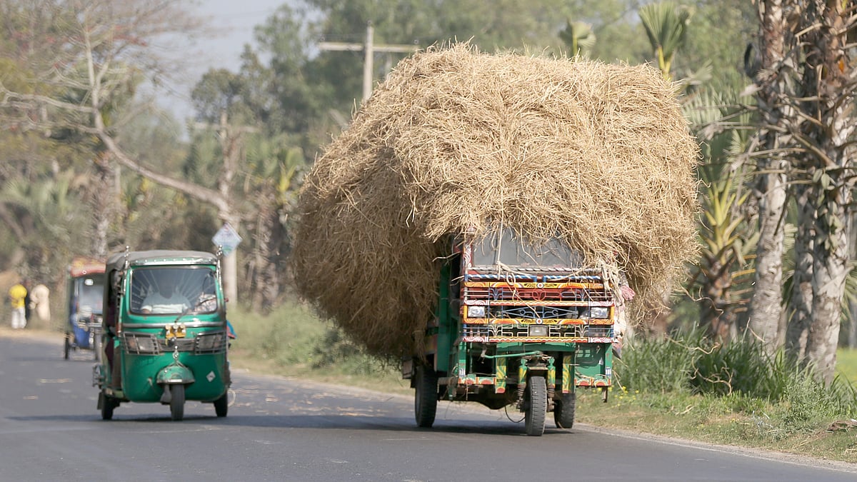 ছবি: হাসান মাহমুদ 