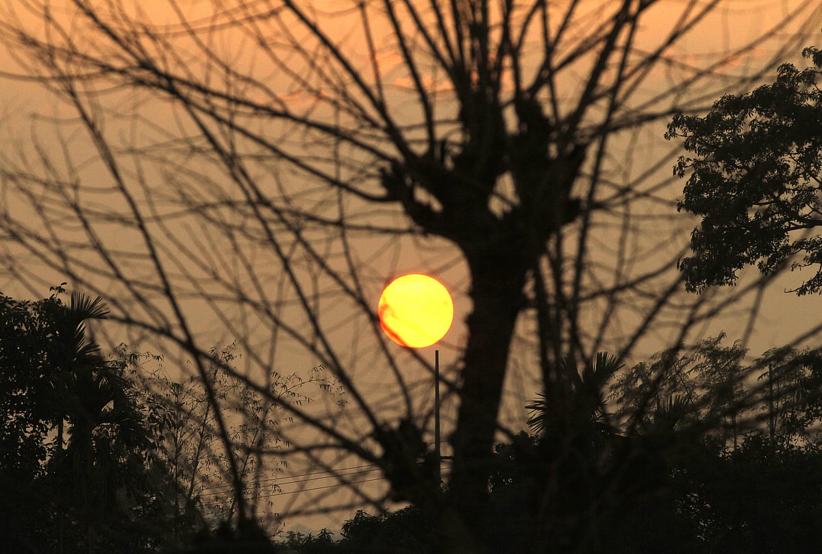 ছবি: সুপ্রিয় চাকমা 