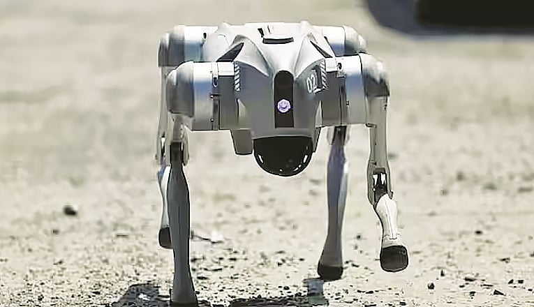 বিশ্বকাপ ফুটবলে নিরাপত্তার 
দায়িত্বে থাকবে রোবট কুকুর