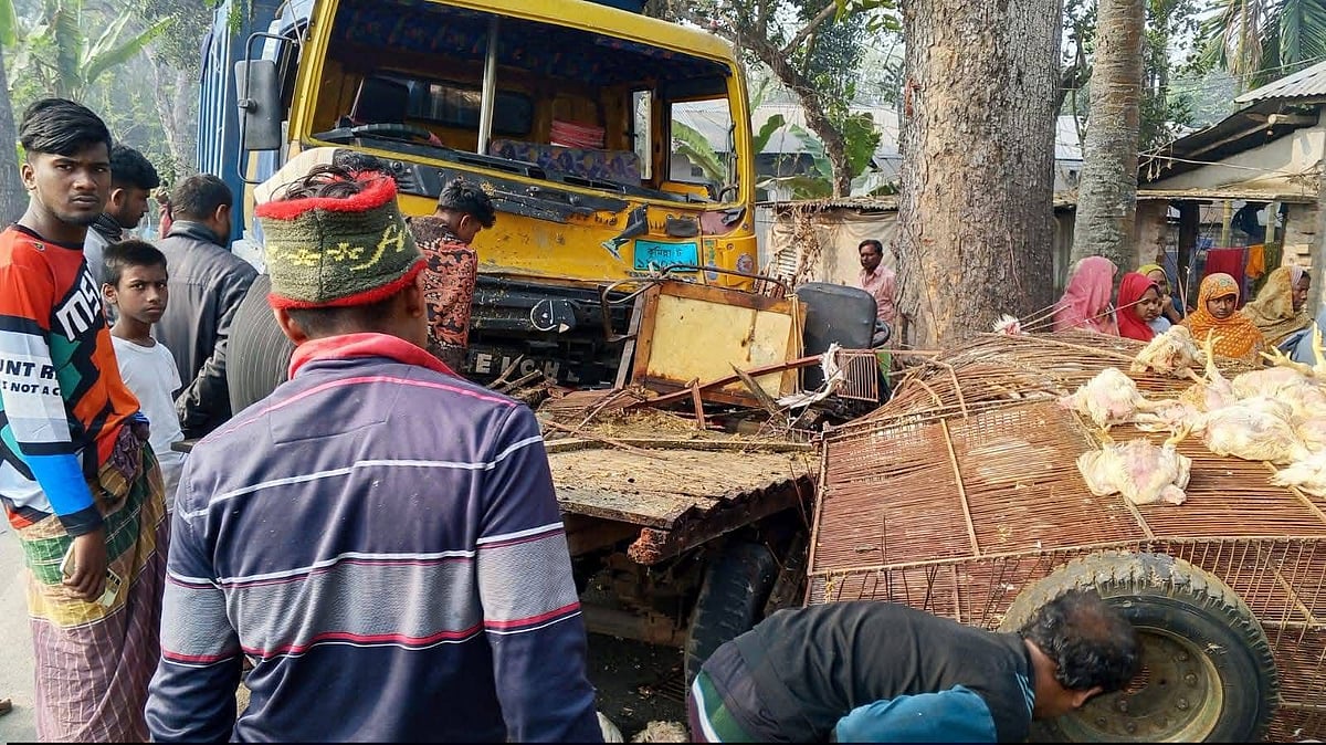 রাজশাহী, পাবনা ও রাজবাড়ীতে পৃথক সড়ক দুর্ঘটনায় নিহত ৬