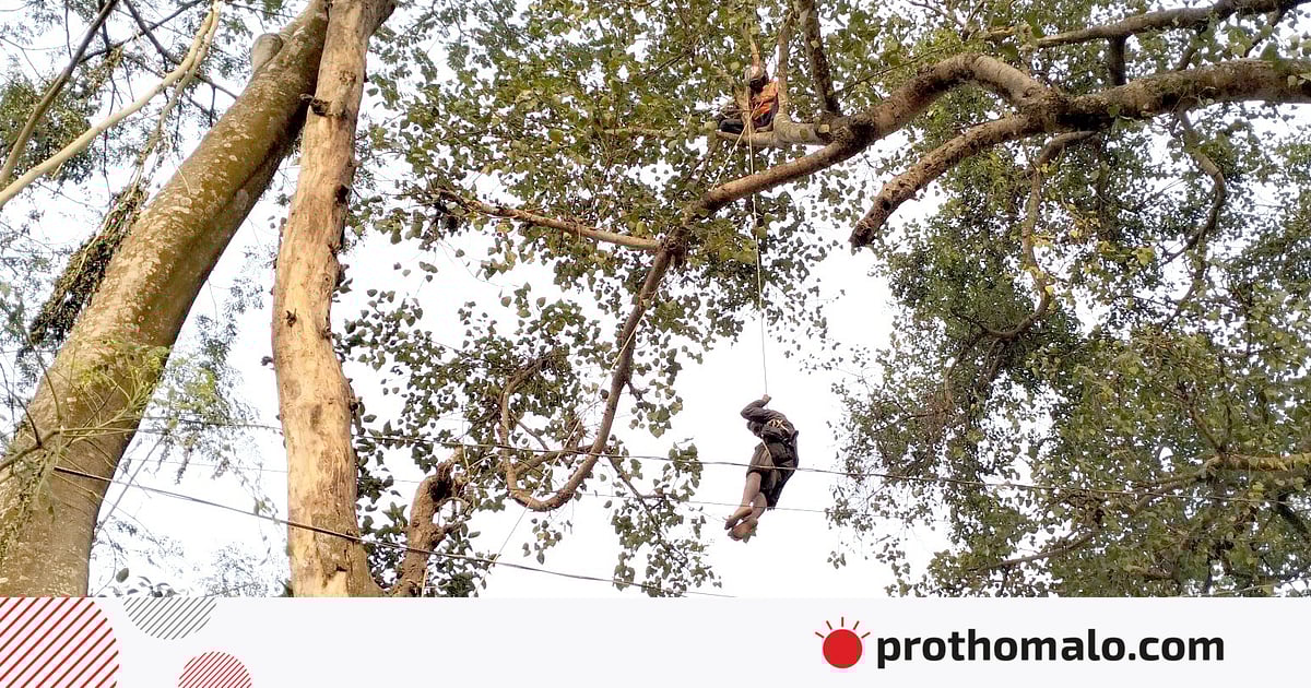 বটগাছের মগডালে বসে ছিলেন যুবক, উদ্ধার করল ফায়ার সার্ভিস বটগাছের মগডালে বসে ছিলেন যুবক, উদ্ধার করল ফায়ার সার্ভিস