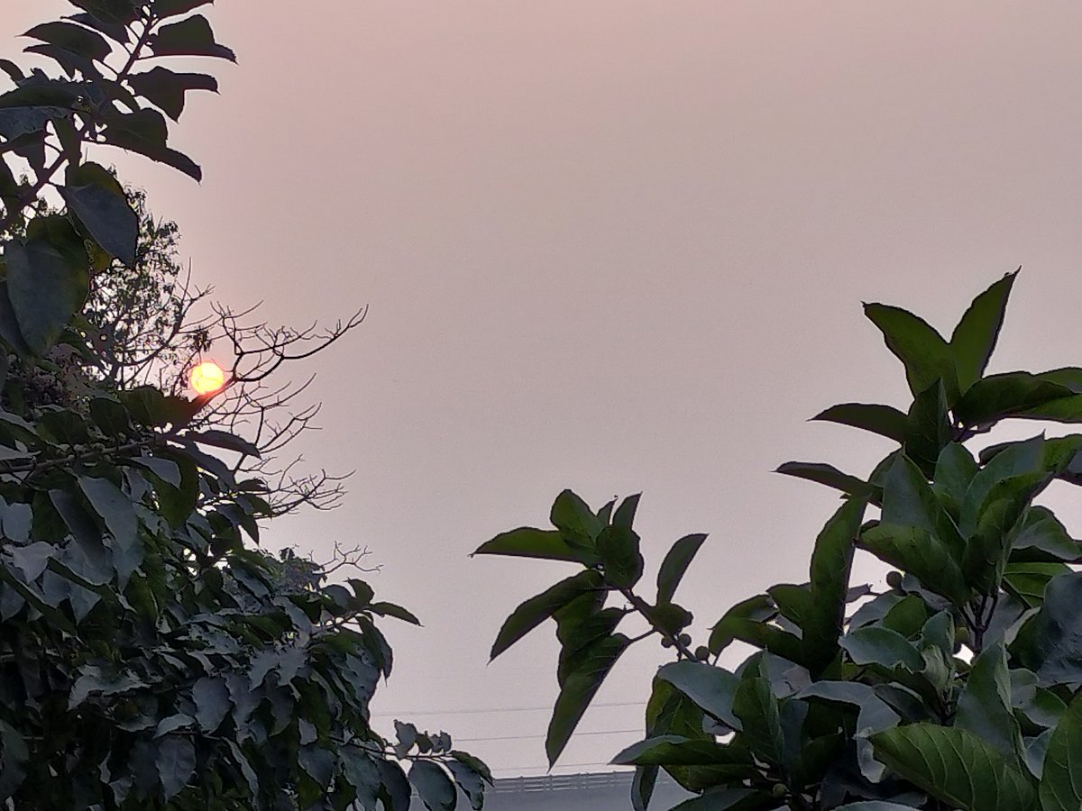 ছবি: সাজেদুল আলম 