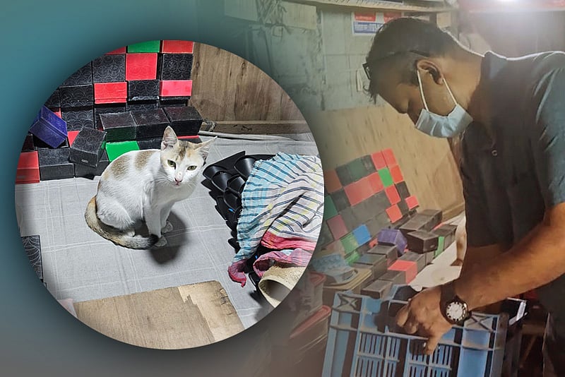 চার দিনের ছুটি, পথে পাওয়া বিড়ালের জন্য মন খারাপ দোকানদারের